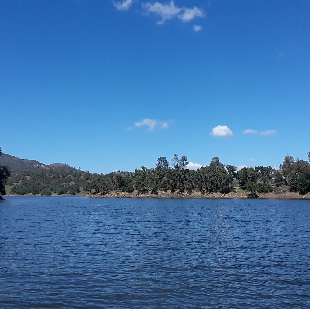 Meet your Posher, Tamra